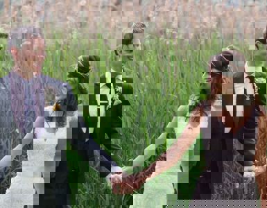 eco friendly wedding ideas ?? ''