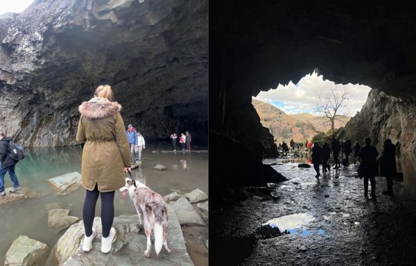 Daffodil | Rydal Cave Blog