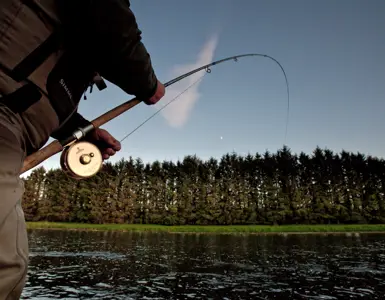 Best Fishing Spots In The Glencoe Area ?? ''