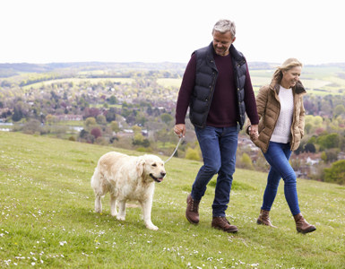 dog friendly staycation destinations uk ?? ''