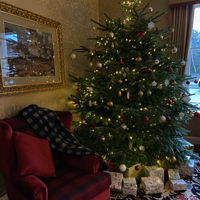 GV Festive Tree