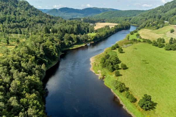 Dunkeld | Conserve Perthshire’s Trees ?? Dunkeld
