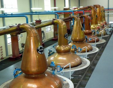 A row of large, gleaming copper pot stills inside a bright Scotch whisky distillery, used for the distillation process. ?? ''