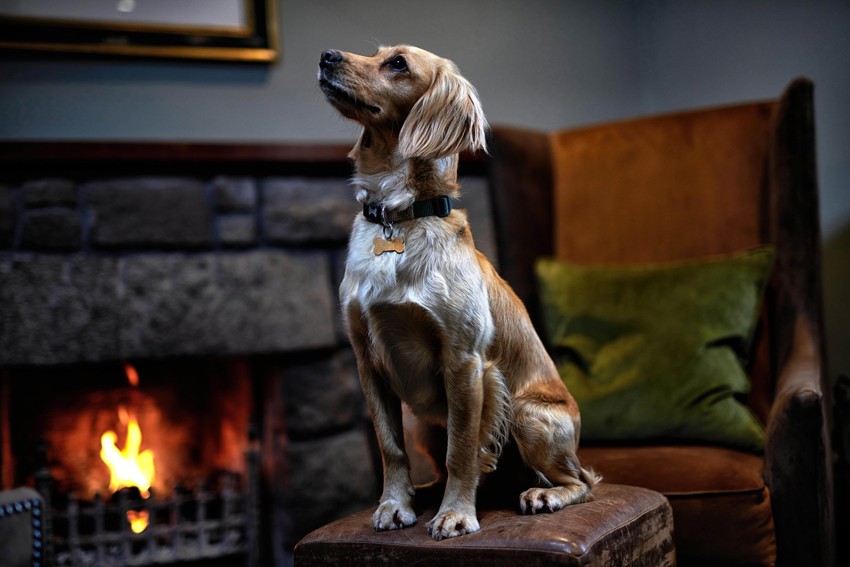 Loch Fyne | Loch Fyne Hotel And Spa Lifestyle00011