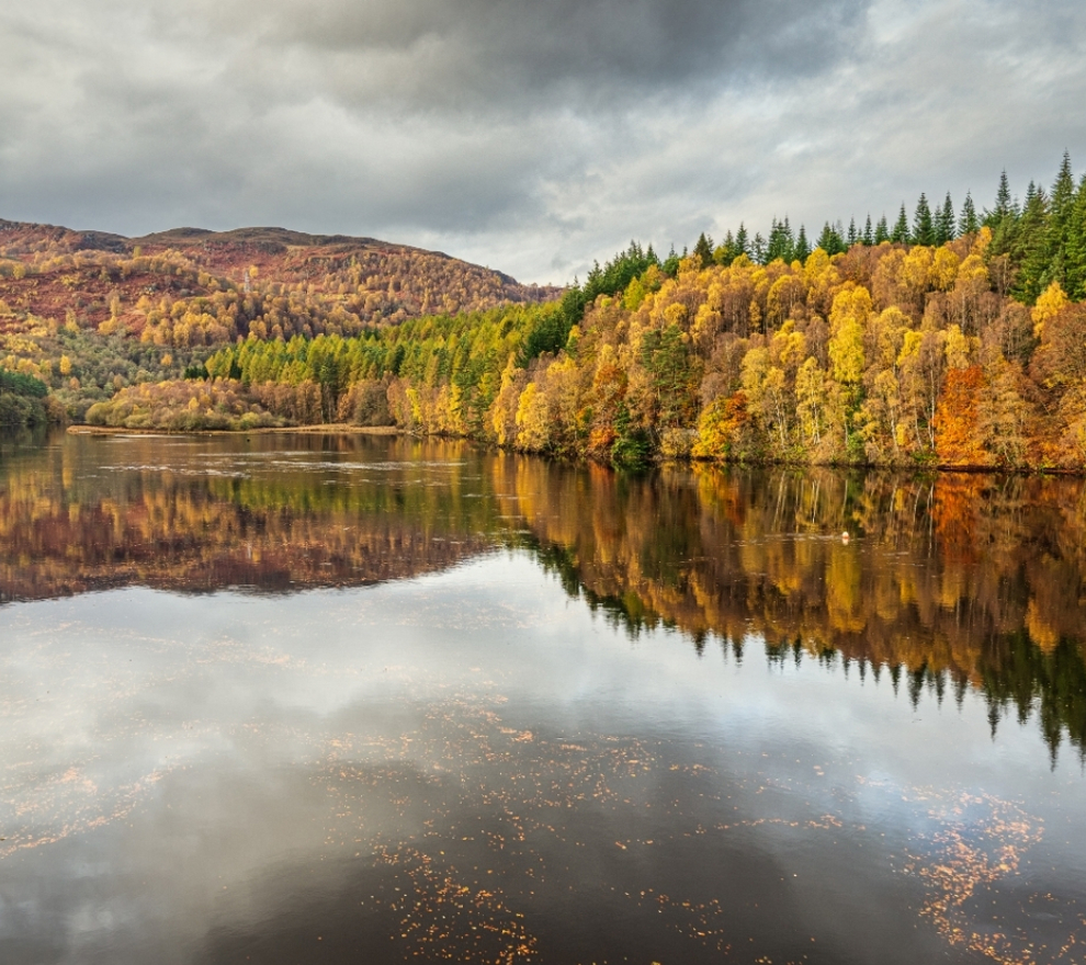 Copy Of FC Castlesuite CAS SUITE (Billboard (Landscape)) (2)