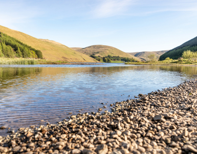 Ospreys at Loch of the Lowes ?? ''