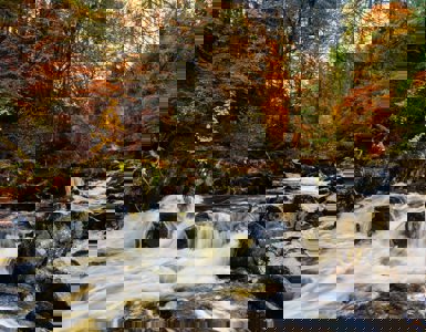 The Corbenic Poetry Path ?? ''