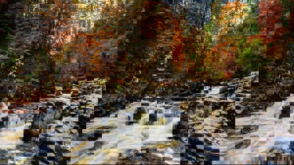 Dunkeld | The Corbenic Poetry Path ?? Dunkeld