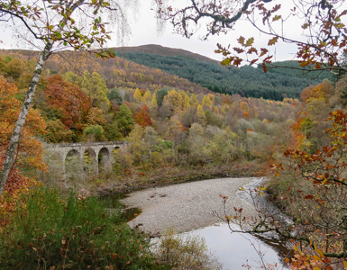 perthshire trees ?? ''