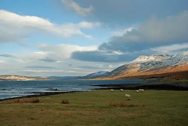 Crerar Group | Loch Na Keal