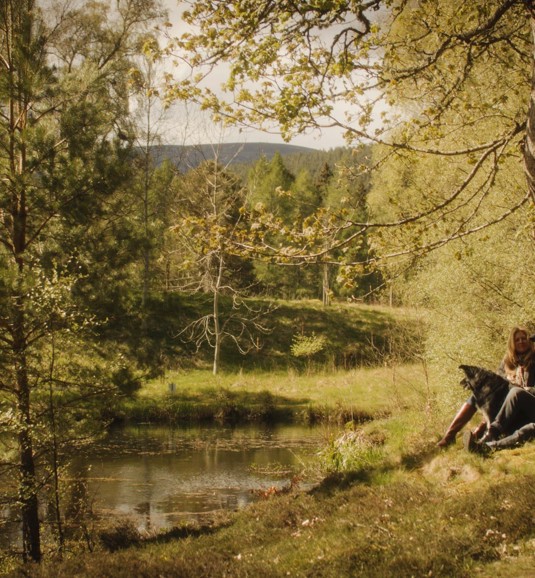 Balmoral Arms Location00015